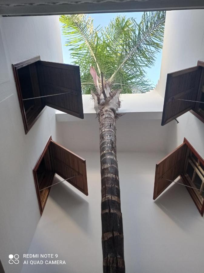 Riad Dar Badiaa 塞尔 外观 照片