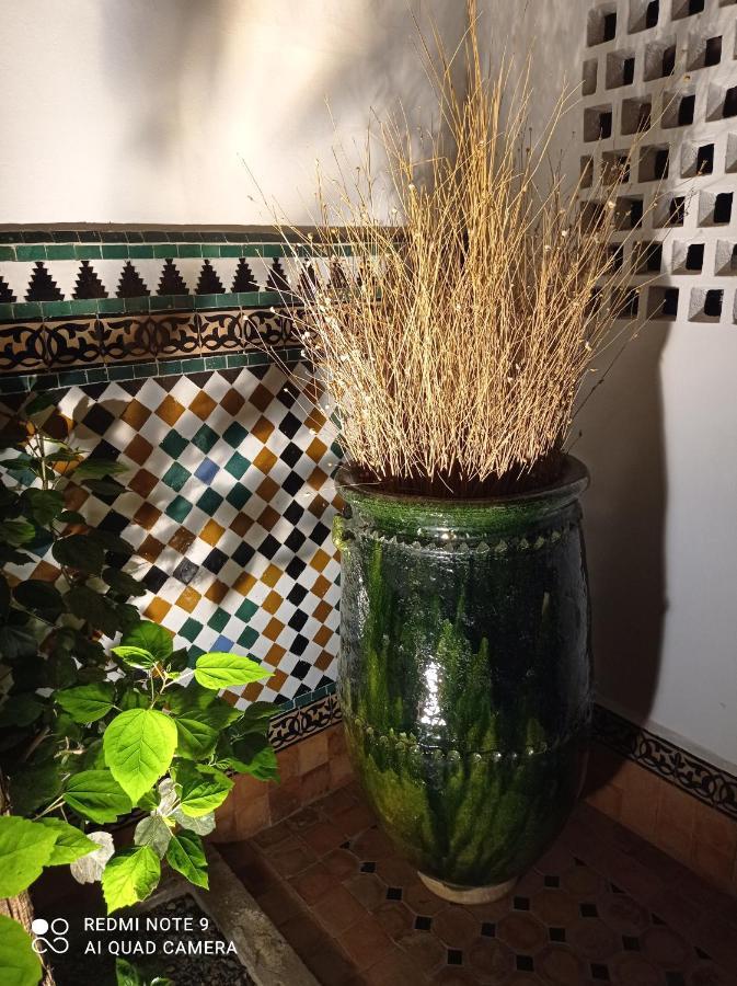Riad Dar Badiaa 塞尔 外观 照片
